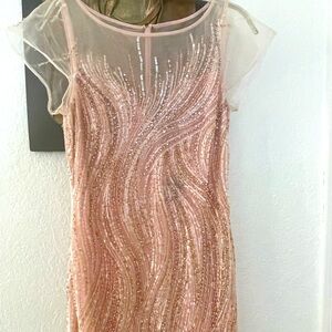 Gorgeous Blush Gown size 4